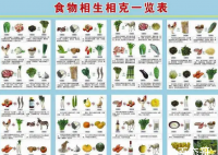 央视辟谣食物相克说法 你相信食物相克说法吗?