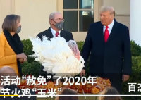特朗普赦免火鸡被问是否赦免自己 特朗普的迷之一笑让人为之一震