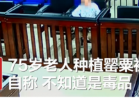 法院回应老人种罂粟被判5年 老人多大年纪了五年的牢狱之灾能做下来吗