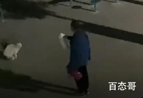 高校大爷训话猫咪:要做有礼貌的猫 大爷对毛都说了些什么？