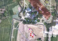 青铜神树修复后将第一时间展出 青铜神树都有哪些特征