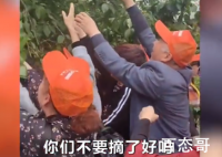 天门山景区游客暴力采摘果子  游客采摘的是什么水果？