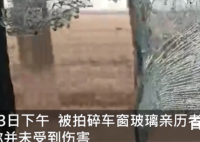 东北虎拍碎车窗亲历者发声 东北虎这巴掌力量有多大