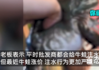 餐馆老板吐槽注水牛蛙如气球 商家太黑这次注水比往年还多