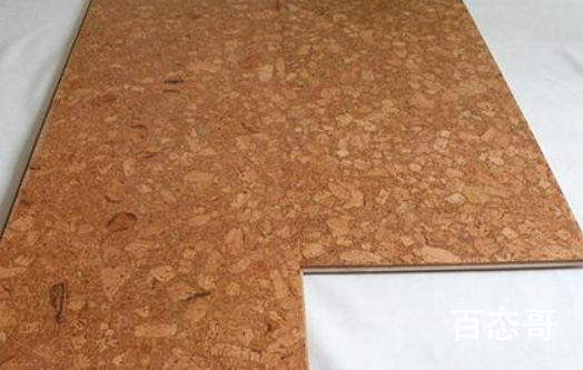中国广受欢迎的软木地板品牌10强 2021软木地板品牌最新排行榜