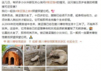 14岁猪坚强可能即将走完生命旅程 猪坚强个人资料简介