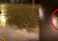 重庆大雨致车辆被淹仅露车顶 重庆车辆在雨中乘风破浪