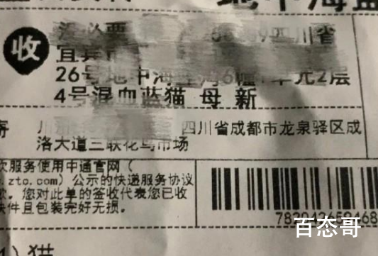 央视评宠物盲盒是对人性的背离 活物禁止发快递