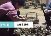 女儿五一返程妈妈送40斤大蒜 真的是世上只有妈妈好