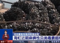 两种小海鲜近期千万别吃 海虹哪个部位不能吃