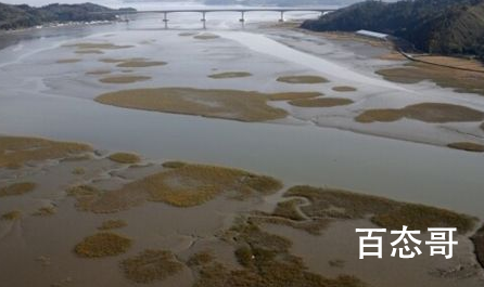 韩国滩涂申遗被联合国退回  韩国应该把申遗精神去联合国申遗容易过