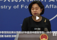 华春莹:56个FBI监督中国留学生太少 解决就业问题怼得好啊哈哈