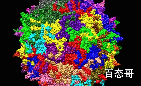 钟南山谈防范全球大流行 鉴于目前国际的疫情局势我们应该感恩党