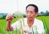 辟谣!袁隆平逝世消息不实 袁老很好请大家不要造摇