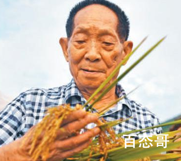 人民日报发文追记袁隆平 这才是老百姓心中的英雄