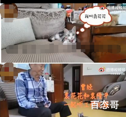 袁花花再也无法陪袁隆平听汇报了 袁爷爷一路走好