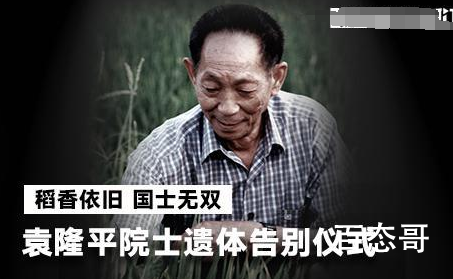 直播:袁隆平院士遗体送别仪式 杂交水稻悲先父我为题诗吊贤人。