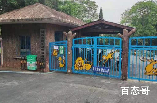 安徽一饲养员被老虎袭击身亡  在动物园工作还是别养这么危险的动物