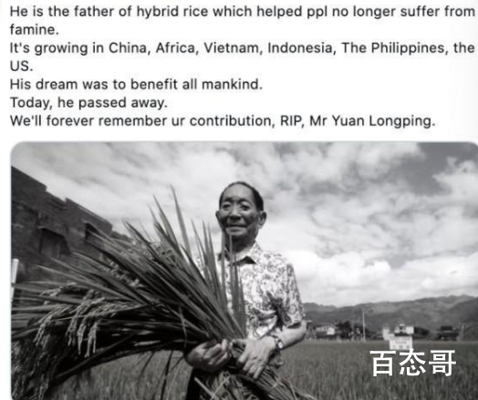 世界网友悼念袁隆平 看一次哭一次这两天眼泪没停过