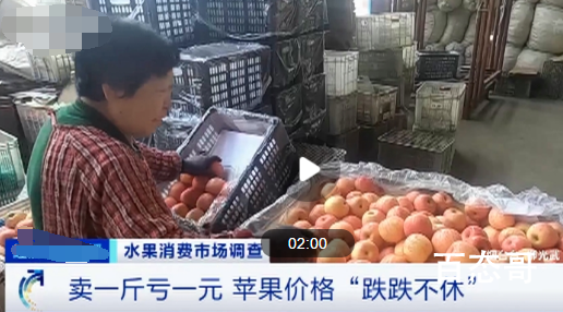 卖1斤亏1元 苹果价格大跌滞销其实最近两年就感觉苹果的受欢迎程度越来越少了