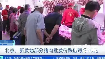 猪价连降18周 10块钱一斤老百姓才能吃得起肉