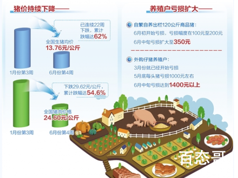 猪肉价格连续22周回落 贵了1年 现在终于便宜几天了