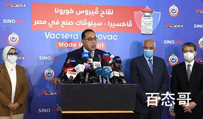 埃及完成首批科兴疫苗本地化生产 日产量最高可达到60万剂