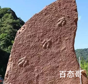 四川发现肉食性恐龙足迹 野比氏实雷龙都有什么特征
