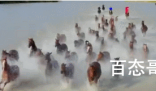 新疆网红女副局长策马时摔河里 毛主席说的好女人能顶半边天
