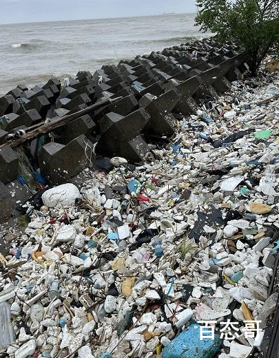 台风烟花过境后千米江堤变垃圾堆场 它来自哪里就归还于那里没毛病