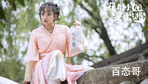 《花府小姐要出逃》定档哪天开播 花府小姐要出逃剧情介绍
