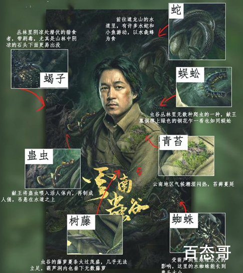 《云南虫谷》定档最新消息 云南虫谷没有被删减