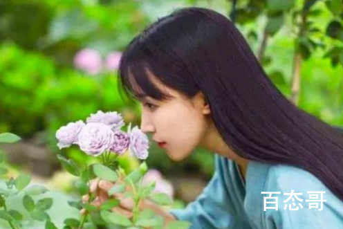 李子柒报警怎么了 李子柒为什么会火？