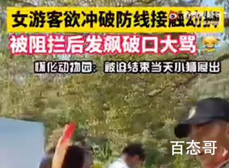 游客执意接触幼狮致展出结束 可否理解决为一次网络营销事件？