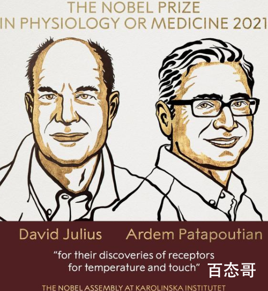 诺贝尔生理学或医学奖揭晓 越来越没意思了，水分越来越大了 ！