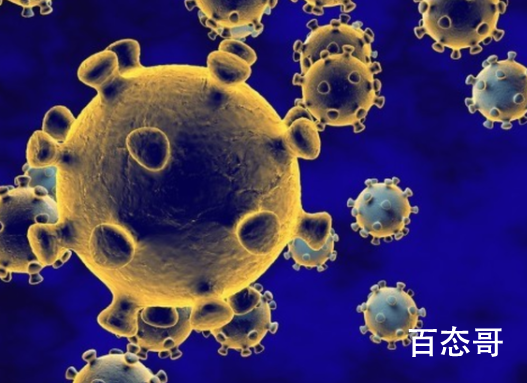 浙江丽水现鹦鹉热病例 1人死亡这种病有传染性吗