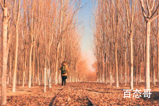 湖南湘阴:鼓励女青年留家乡 这么做都有哪些好处