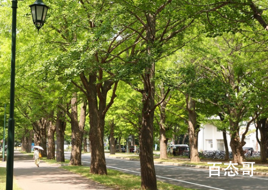 日本发现能传染人类新病毒 研究生物病毒，就是全人类的敌人！