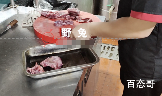 杭州多个市场仍在售卖野味  家人们能不能控制自己的嘴？