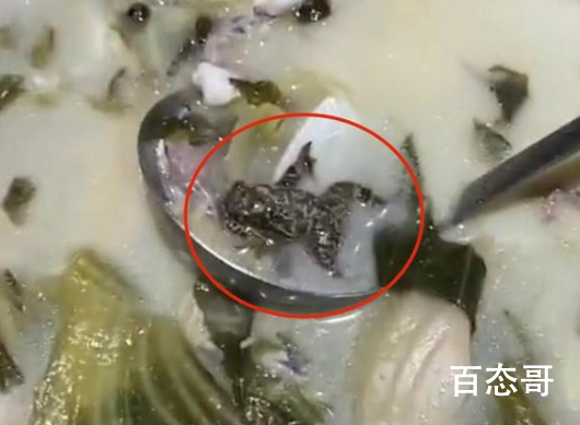 女子吃酸菜鱼吃出一整只癞蛤蟆 8000元赔偿相当不错啦！