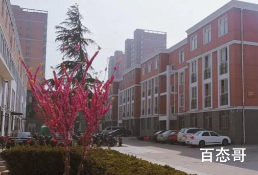 女老师查寝脏话连篇 已被辞退孩子上职校是无奈中的无奈！