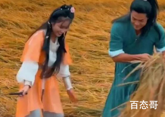 夫妻装扮成郭靖黄蓉收稻谷 收个稻算什么体力活人家还没使出九阴真经呢