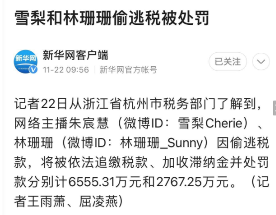 雪梨和林珊珊偷逃税被罚超九千万 挣钱的都是大主播商家基本不挣钱