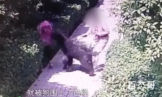 狗咬人事件当事人王新刚被撤职 撤职调离工作岗位是什么处理？