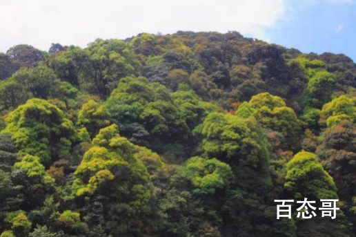 遇难地质人员进山为何穿一次性雨衣 年轻生命这么逝去让人痛心！