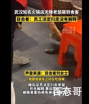 武汉知名火锅店天降老鼠砸到食客  这老鼠飞檐走壁的也不好管哪