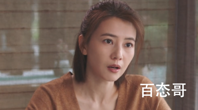 《完美伴侣》张鲁一饰演的是谁 孙磊和陈珊在剧中是什么模式