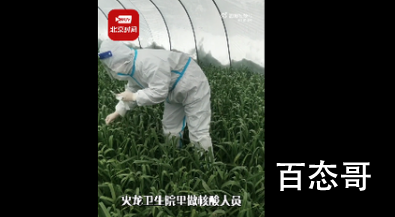 禹州政府回应防疫人员为蒜苗做核酸 疫情当下谨慎为妙