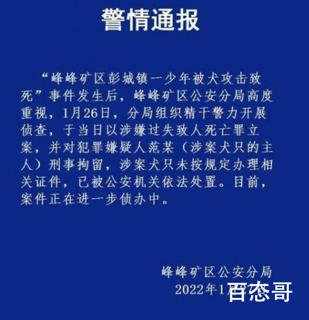 男孩被狗咬死 警方:狗主人被刑拘背后的真相让人震惊