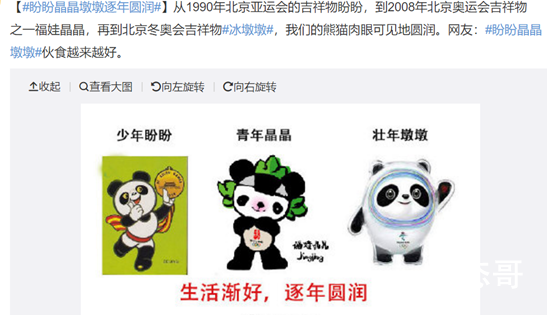 冰墩墩曾考虑过叫冰墩儿 冰墩墩和冰墩儿谁好听？